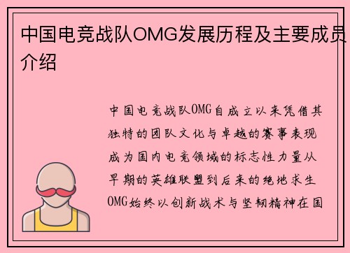 中国电竞战队OMG发展历程及主要成员介绍
