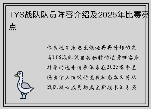 TYS战队队员阵容介绍及2025年比赛亮点