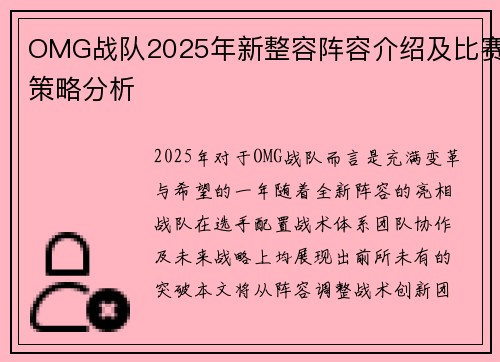 OMG战队2025年新整容阵容介绍及比赛策略分析